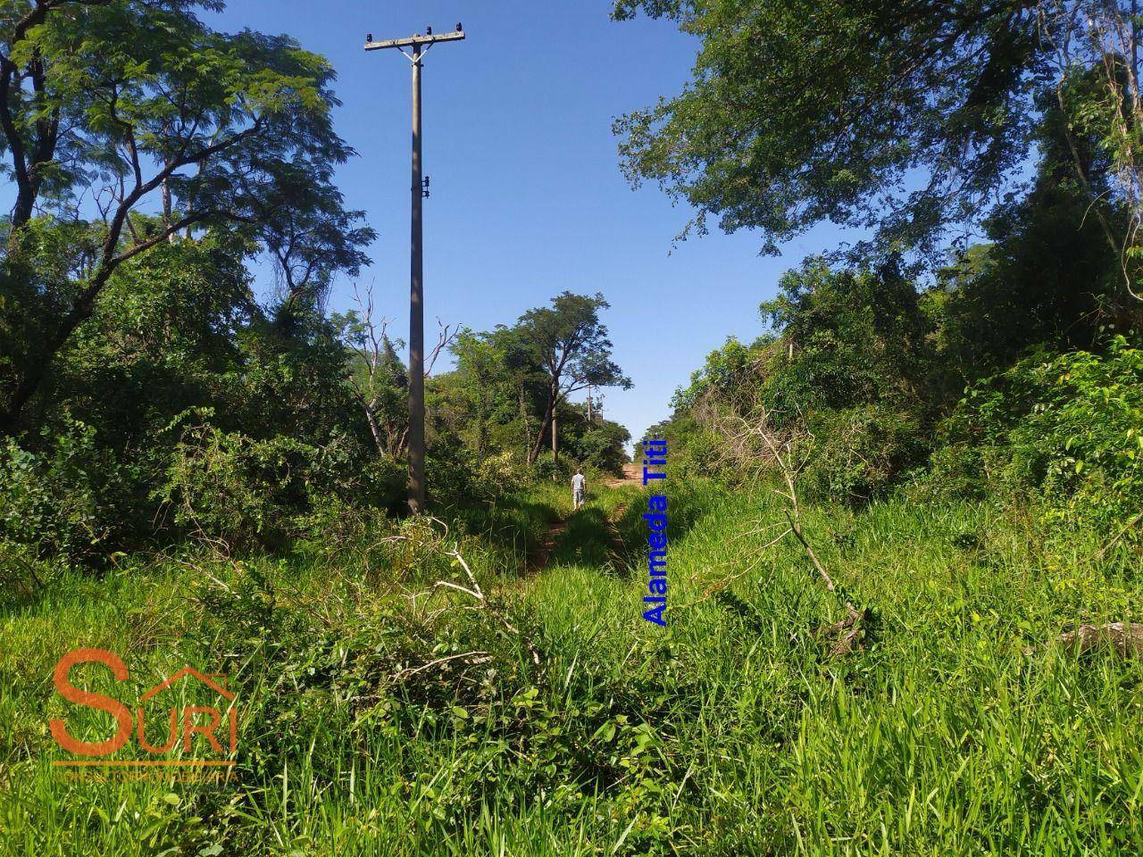 Terreno, 250 m² - Foto 3