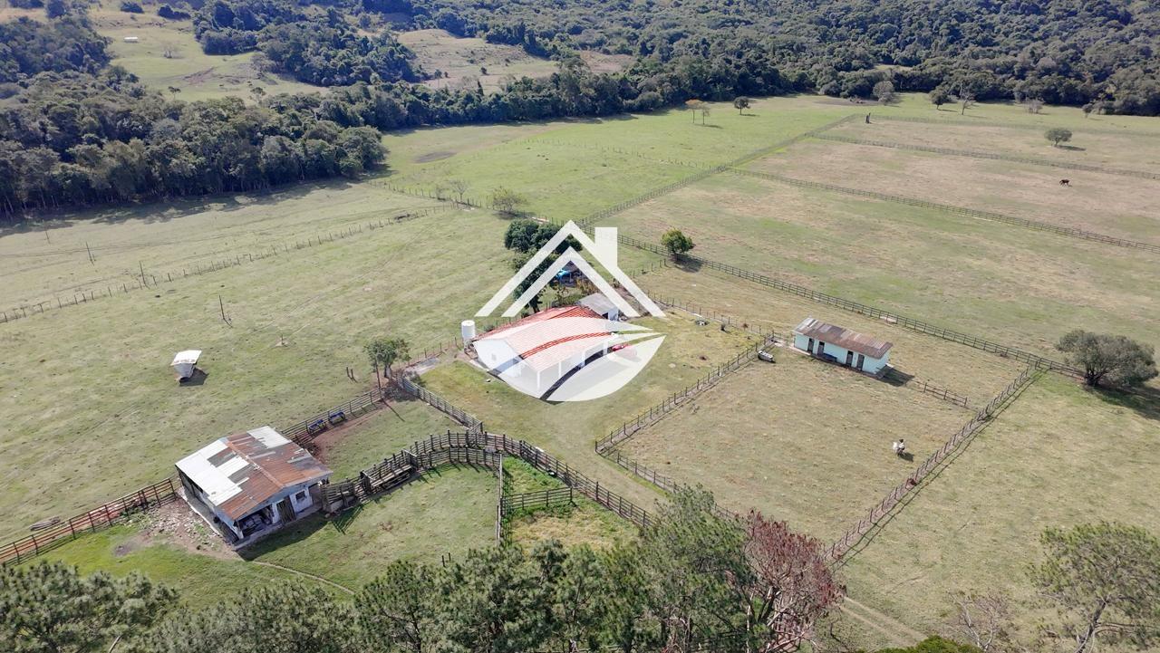 Fazenda à venda, 165200m² - Foto 7