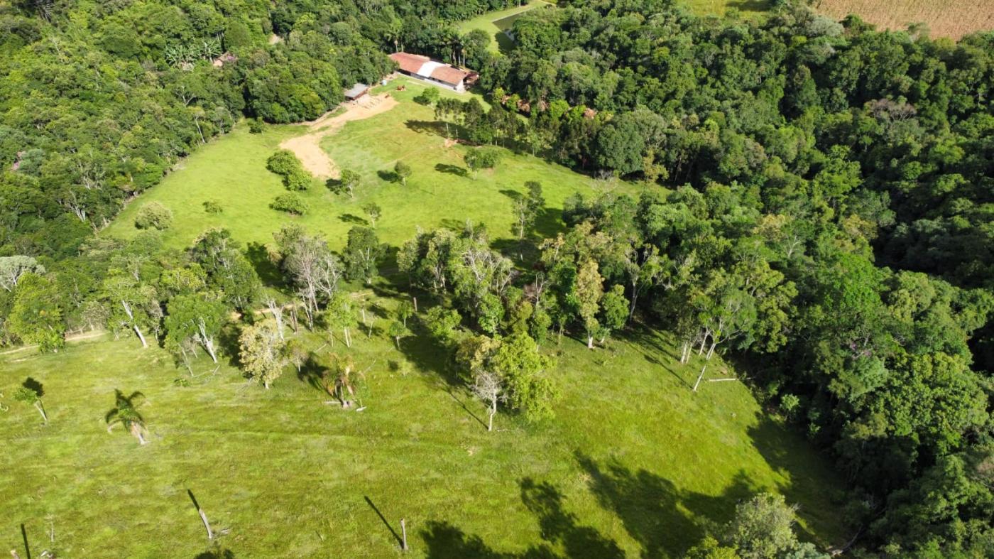 Chácara, 4 quartos, 11 hectares - Foto 4