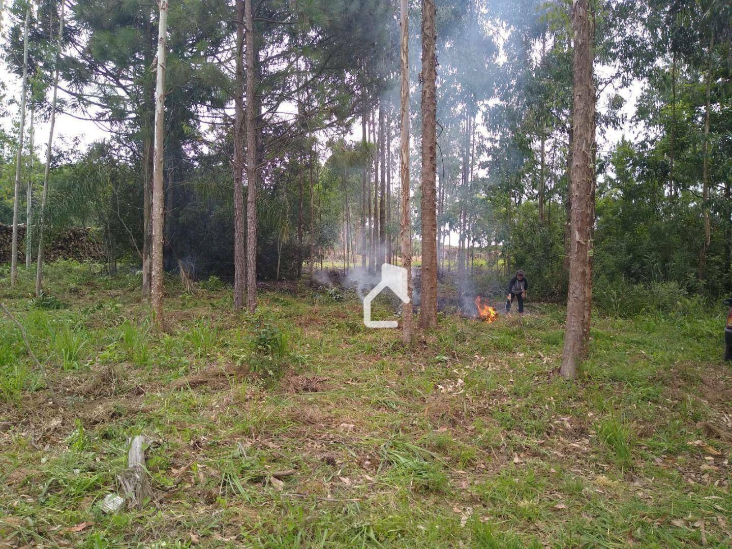 Terreno à venda, 5568M2 - Foto 13