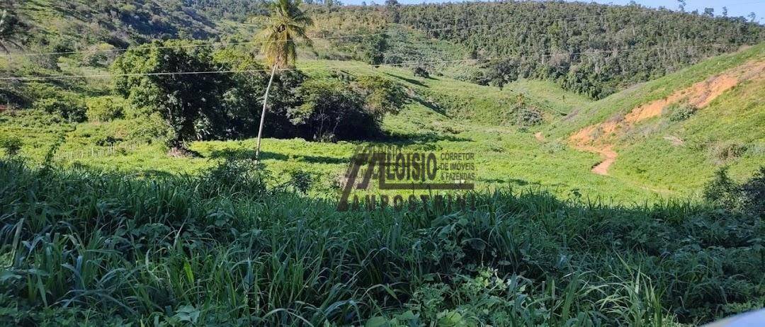 Fazenda à venda, 5469200M2 - Foto 86