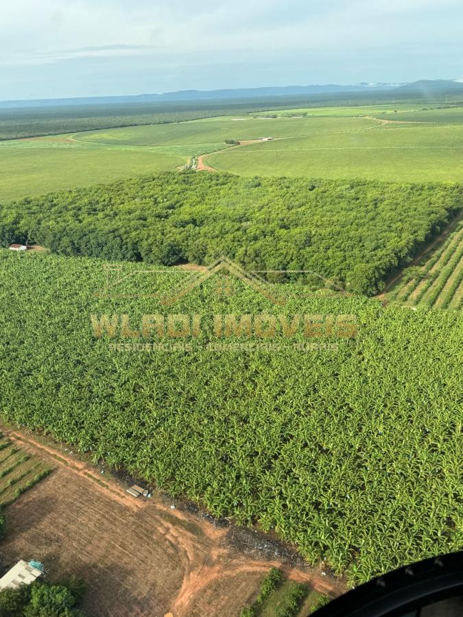 Fazenda à venda, 3500m² - Foto 6