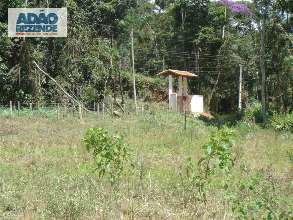 Fazenda à venda com 4 quartos, 1150000M2 - Foto 45