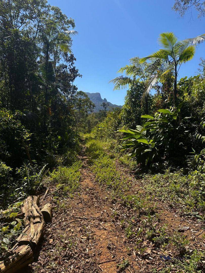 Terreno, 4 hectares - Foto 2