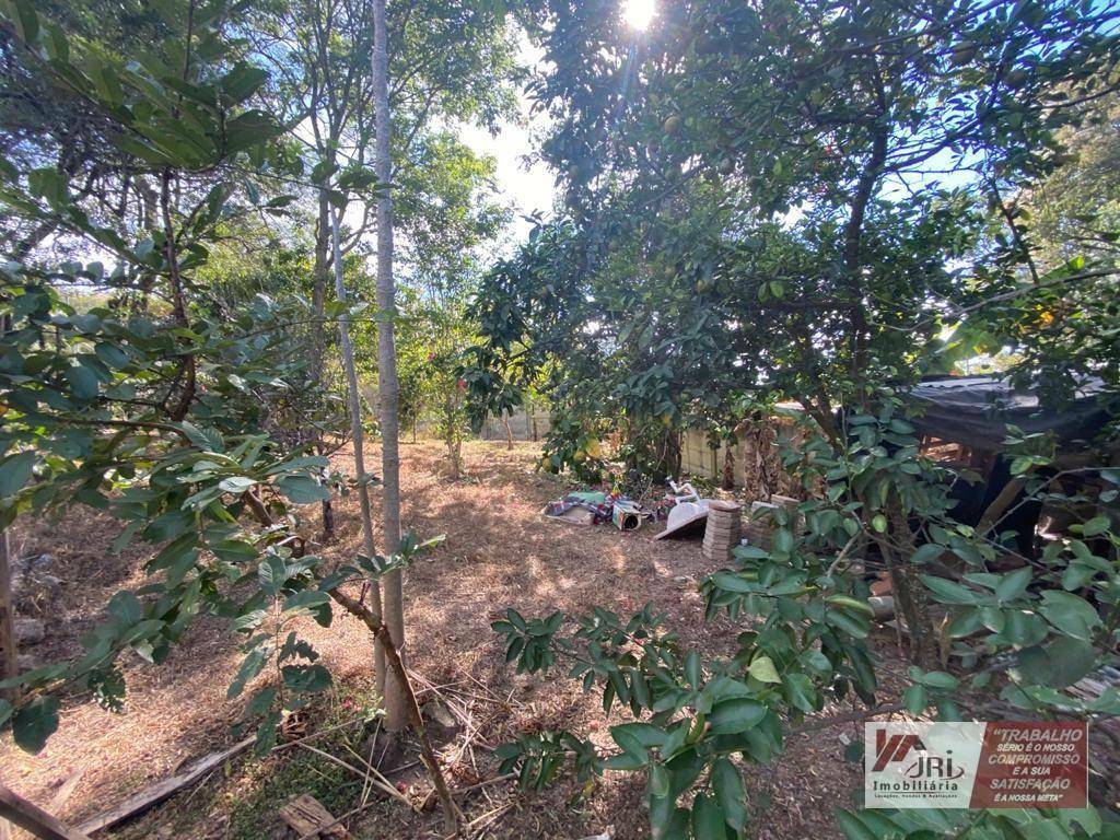 Fazenda à venda com 3 quartos, 2500M2 - Foto 29