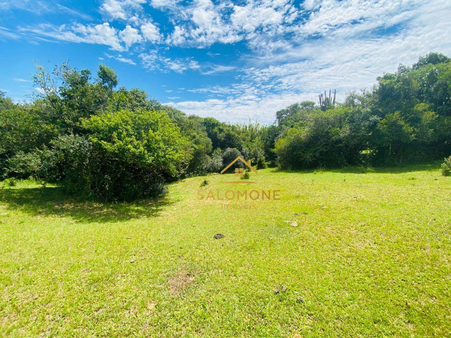 Terreno, 10 hectares - Foto 1