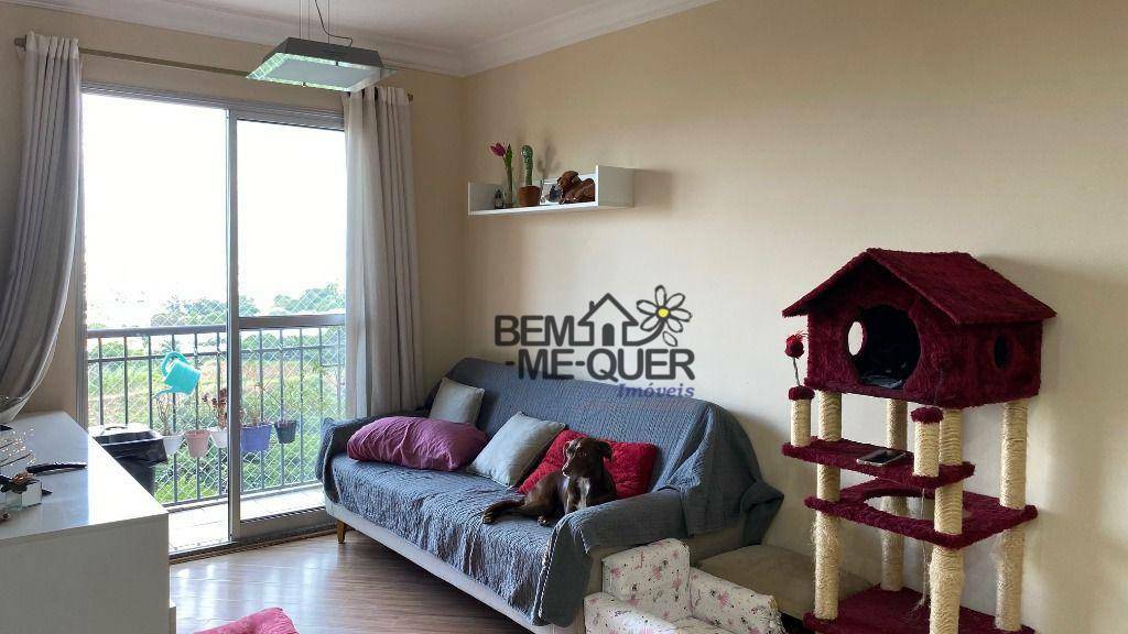 Apartamento à venda com 3 quartos, 65m² - Foto 11