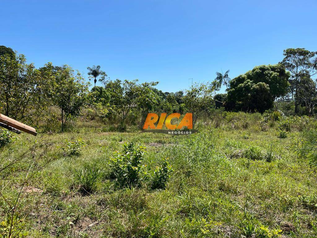 Chácara, 3 quartos, 2 hectares - Foto 7