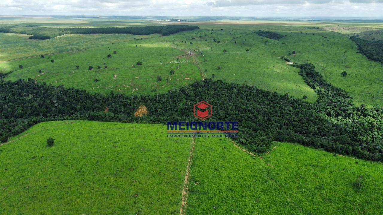 Fazenda à venda com 4 quartos, 4800000M2 - Foto 5