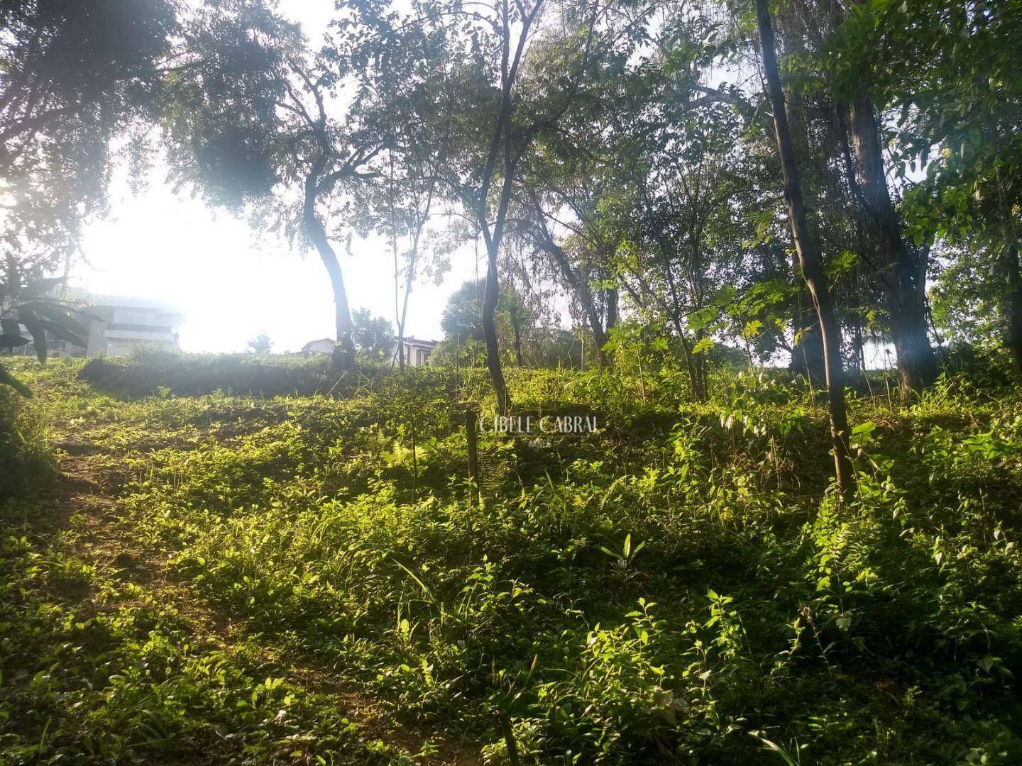 Loteamento e Condomínio à venda, 810M2 - Foto 11