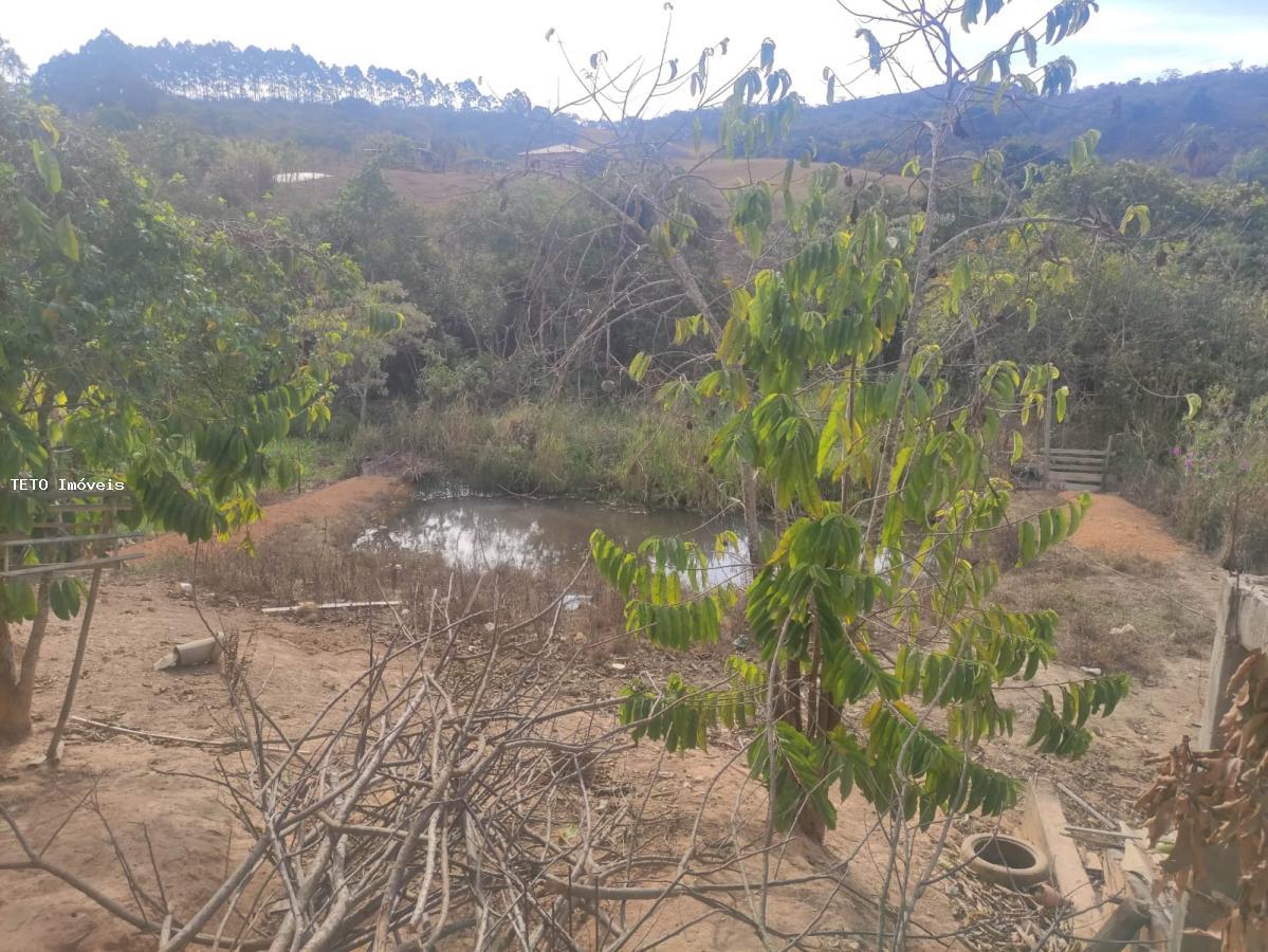 Fazenda à venda com 3 quartos, 2000m² - Foto 22