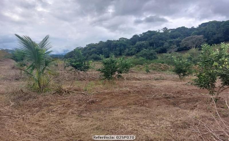 Fazenda à venda com 2 quartos, 170000m² - Foto 4