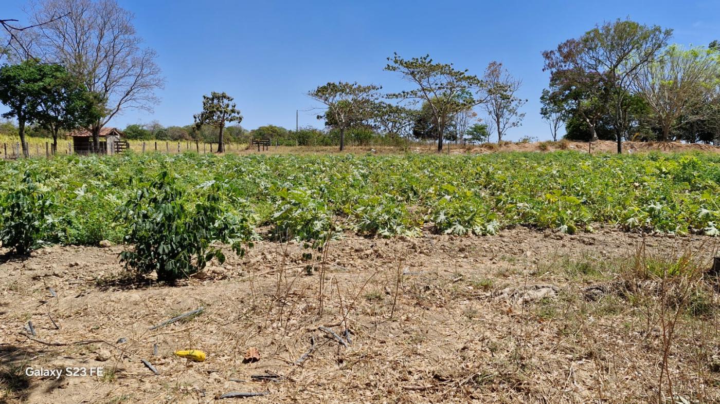 Fazenda à venda com 4 quartos, 1180000m² - Foto 2