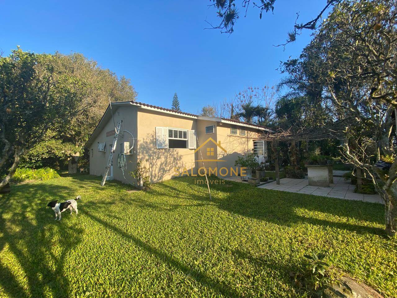 Sítio, 13 hectares - Foto 37