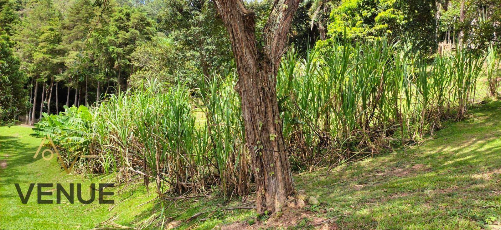 Fazenda à venda com 11 quartos, 200m² - Foto 18