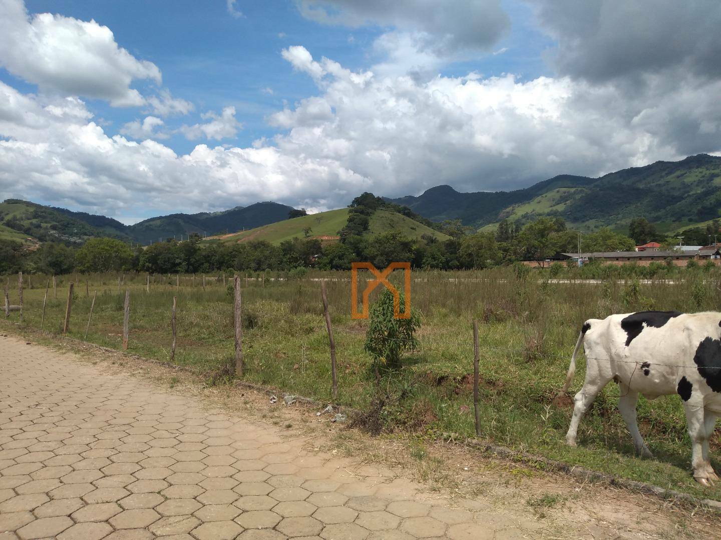 Terreno à venda, 250M2 - Foto 7