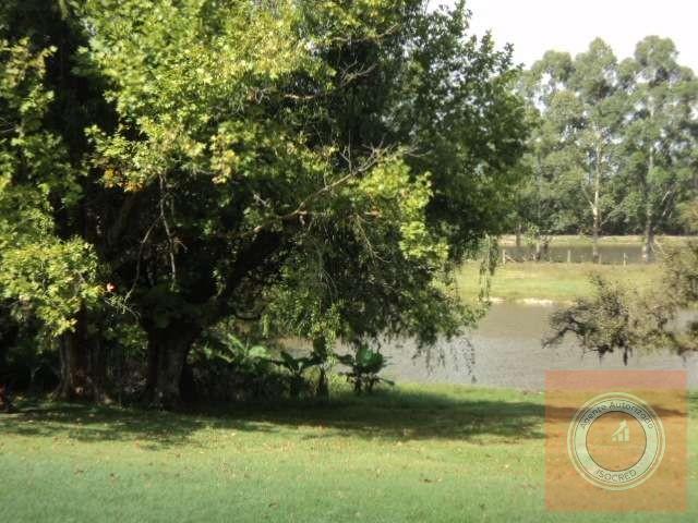 Sítio à venda com 3 quartos, 40000m² - Foto 4