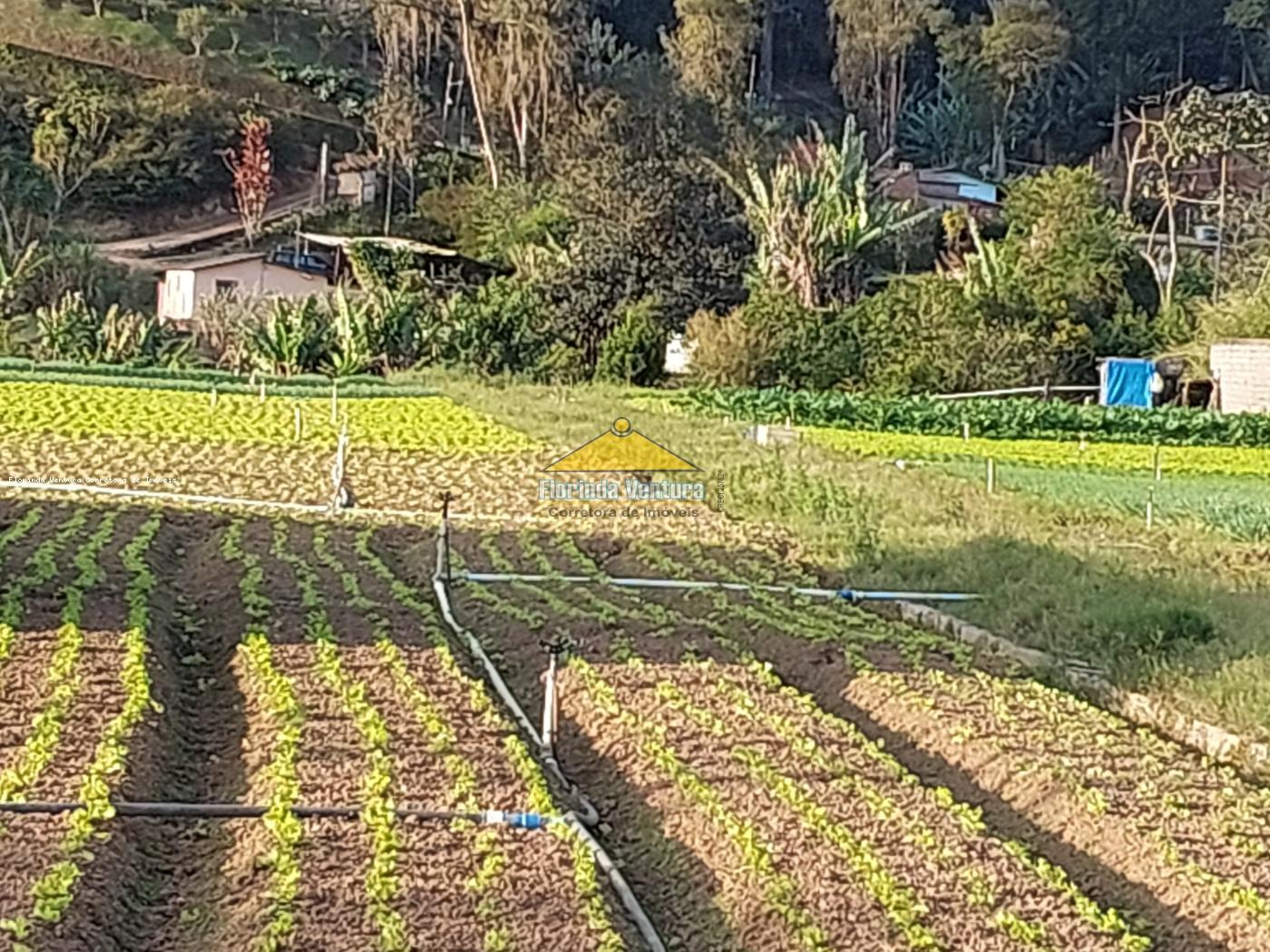 Terreno à venda, 7780m² - Foto 3