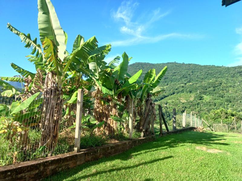 Sítio à venda com 1 quarto, 150m² - Foto 57