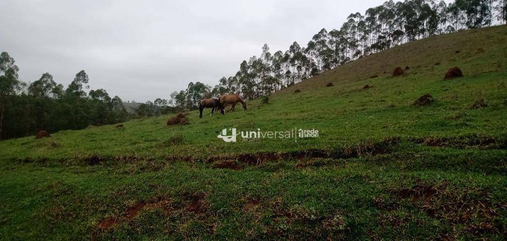 Fazenda à venda com 3 quartos, 1110000M2 - Foto 62