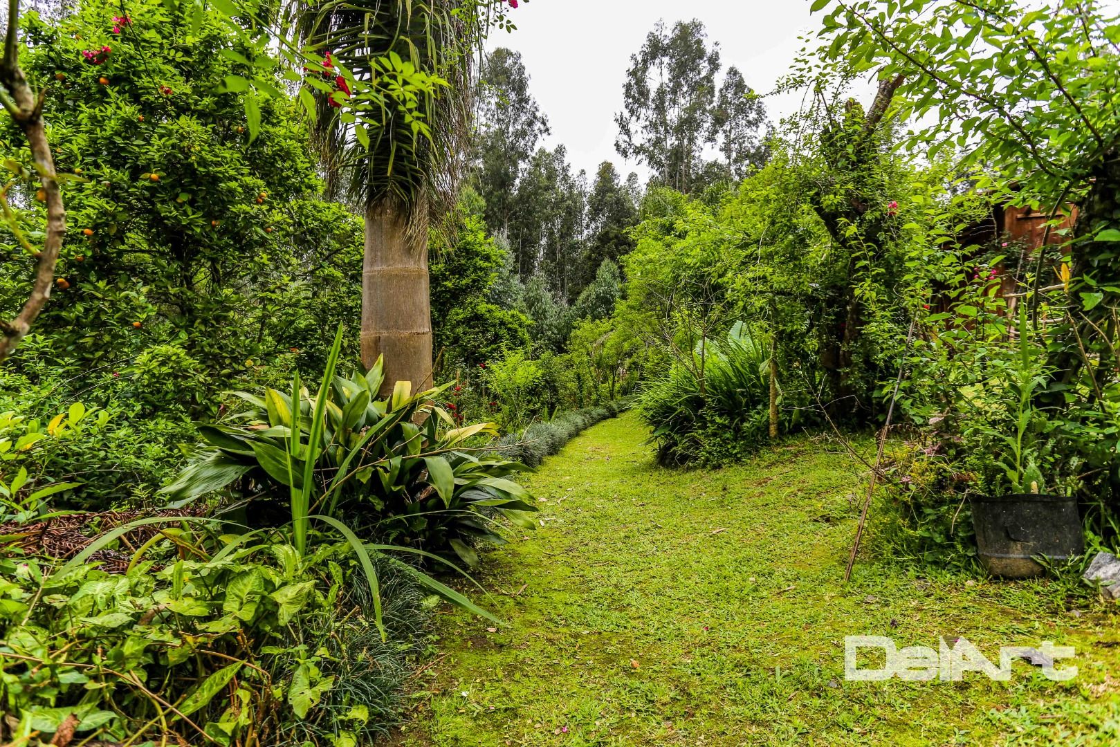 Chácara à venda com 7 quartos, 36600M2 - Foto 60