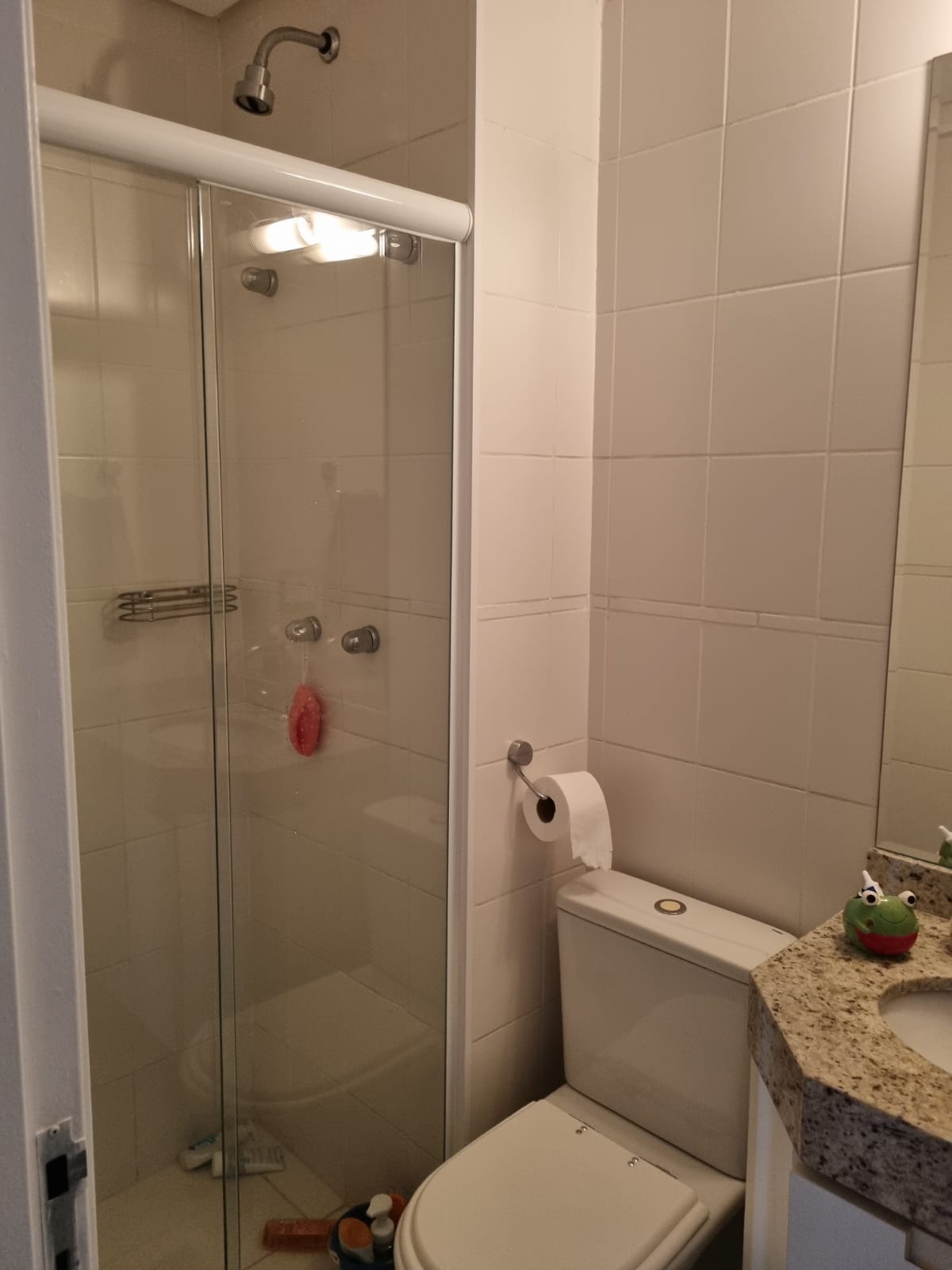 Apartamento à venda com 2 quartos, 55m² - Foto 19