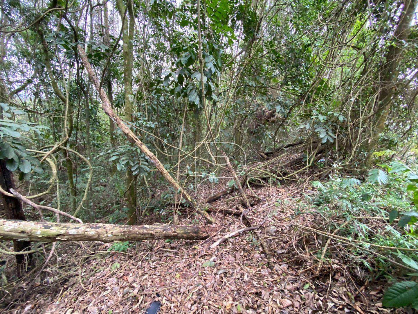 Loteamento e Condomínio à venda, 381M2 - Foto 21