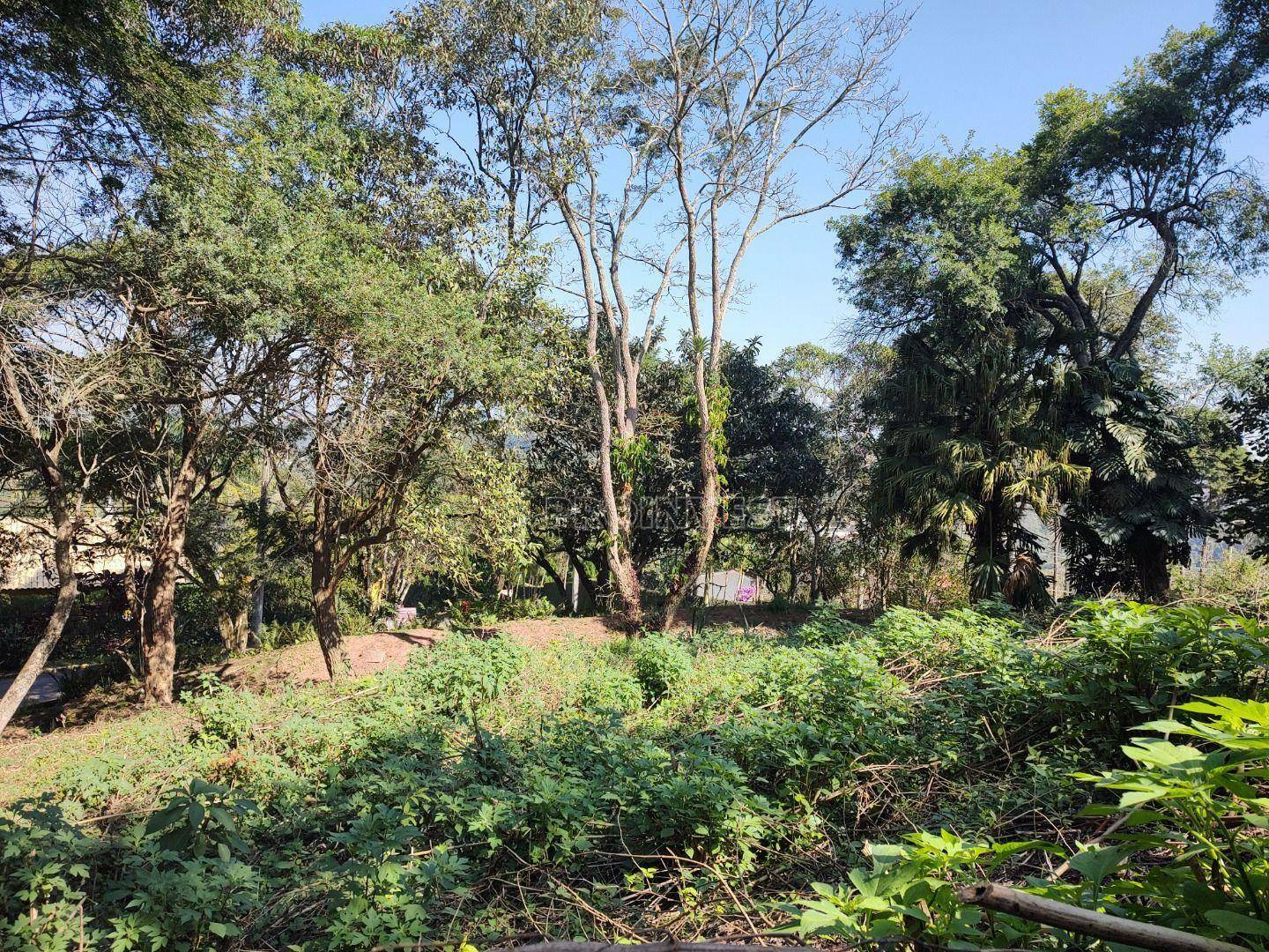 Loteamento e Condomínio à venda, 1163M2 - Foto 14