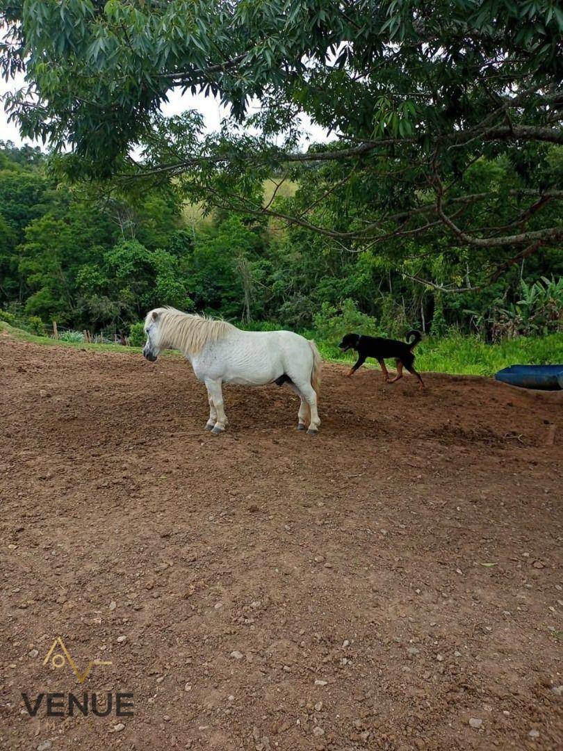 Fazenda à venda com 4 quartos, 200m² - Foto 18