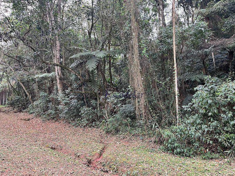 Loteamento e Condomínio à venda, 1120M2 - Foto 8