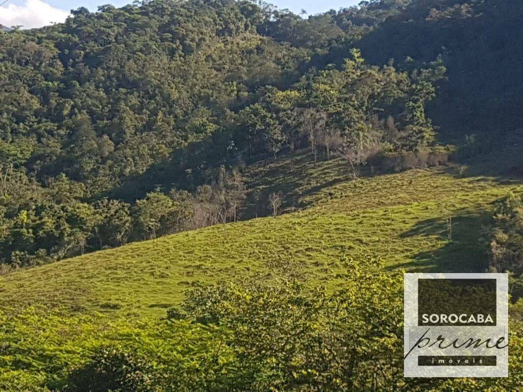 Fazenda à venda, 202000M2 - Foto 3