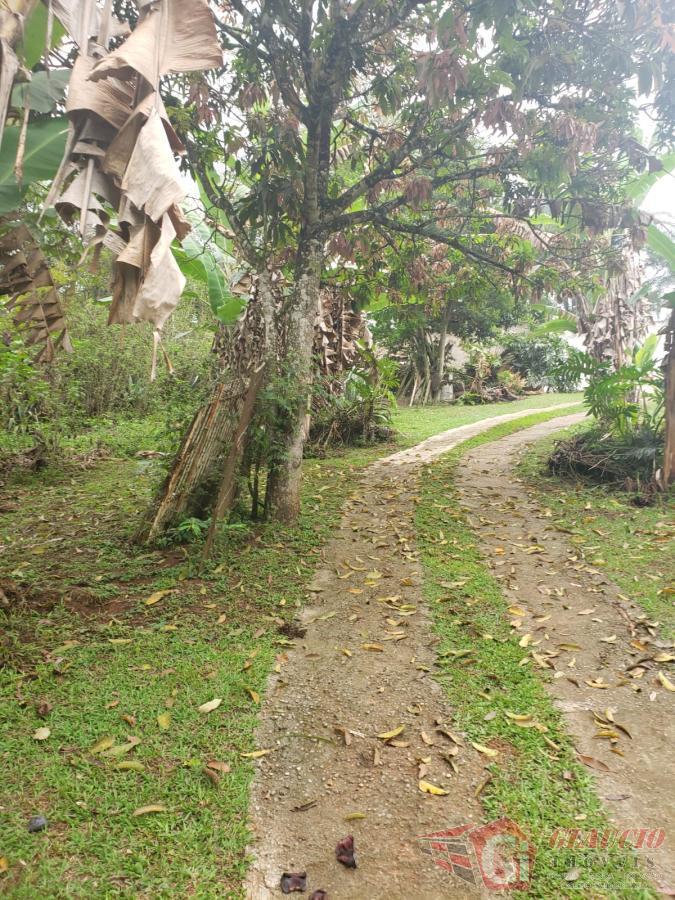 Terreno à venda, 3500m² - Foto 5