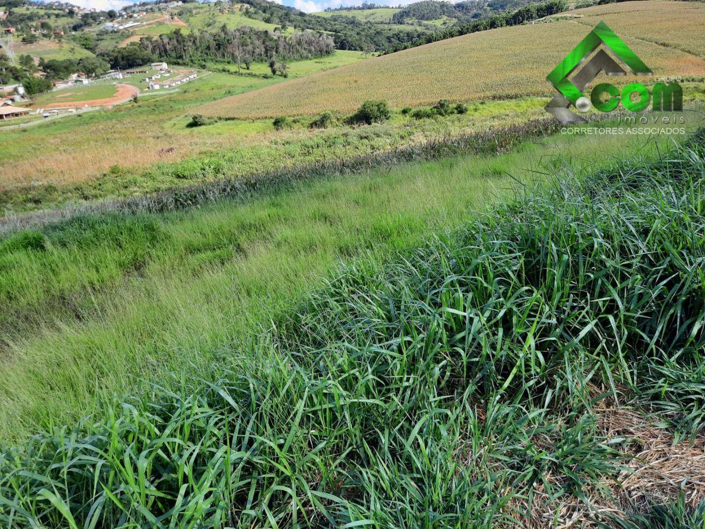 Terreno à venda, 20000M2 - Foto 7