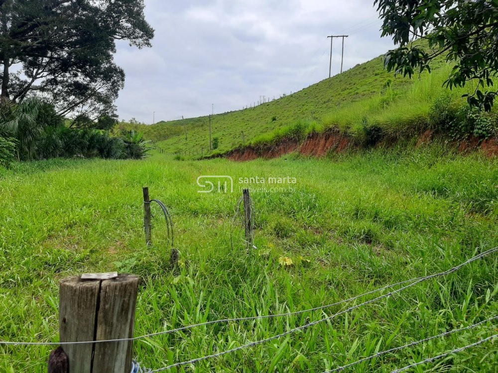 Fazenda à venda com 2 quartos, 150m² - Foto 4