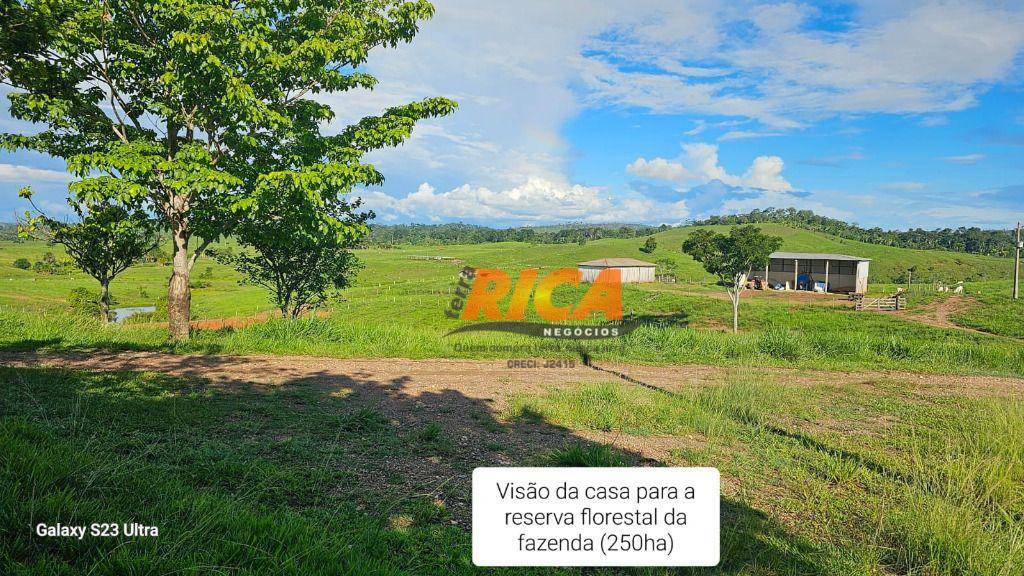 Fazenda-Sítio-Chácara, 500 hectares - Foto 3