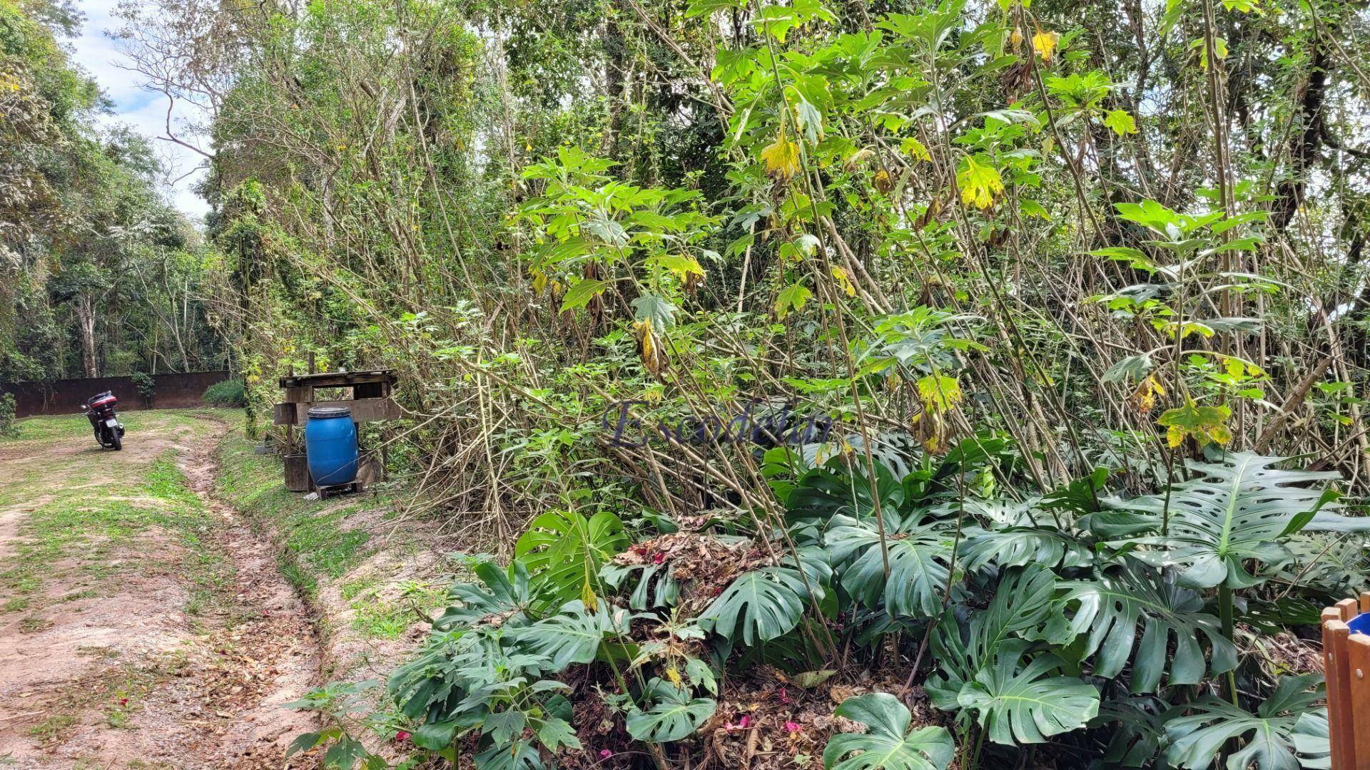 Terreno à venda, 3000M2 - Foto 10