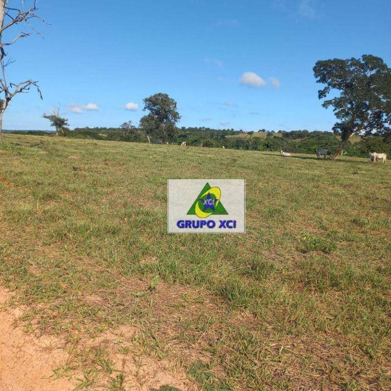 Fazenda à venda, 10000000M2 - Foto 14
