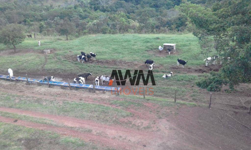 Fazenda à venda, 1887600M2 - Foto 6