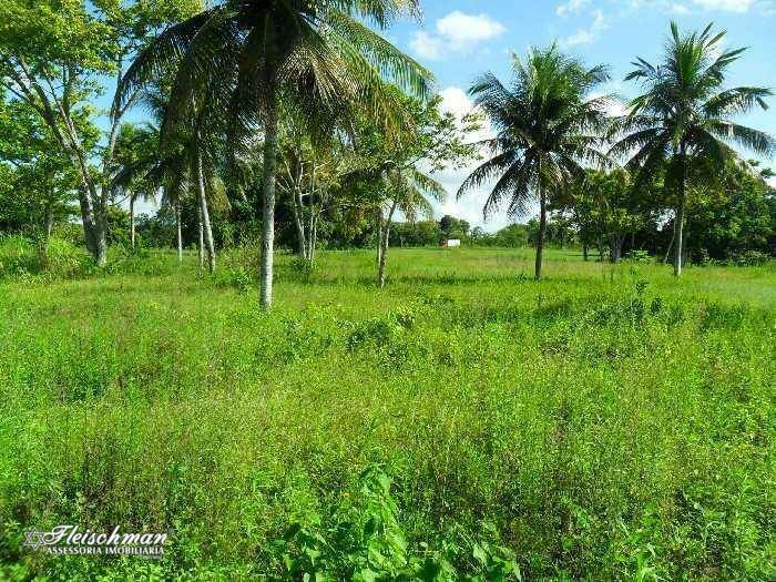 Loteamento e Condomínio à venda, 110000M2 - Foto 12