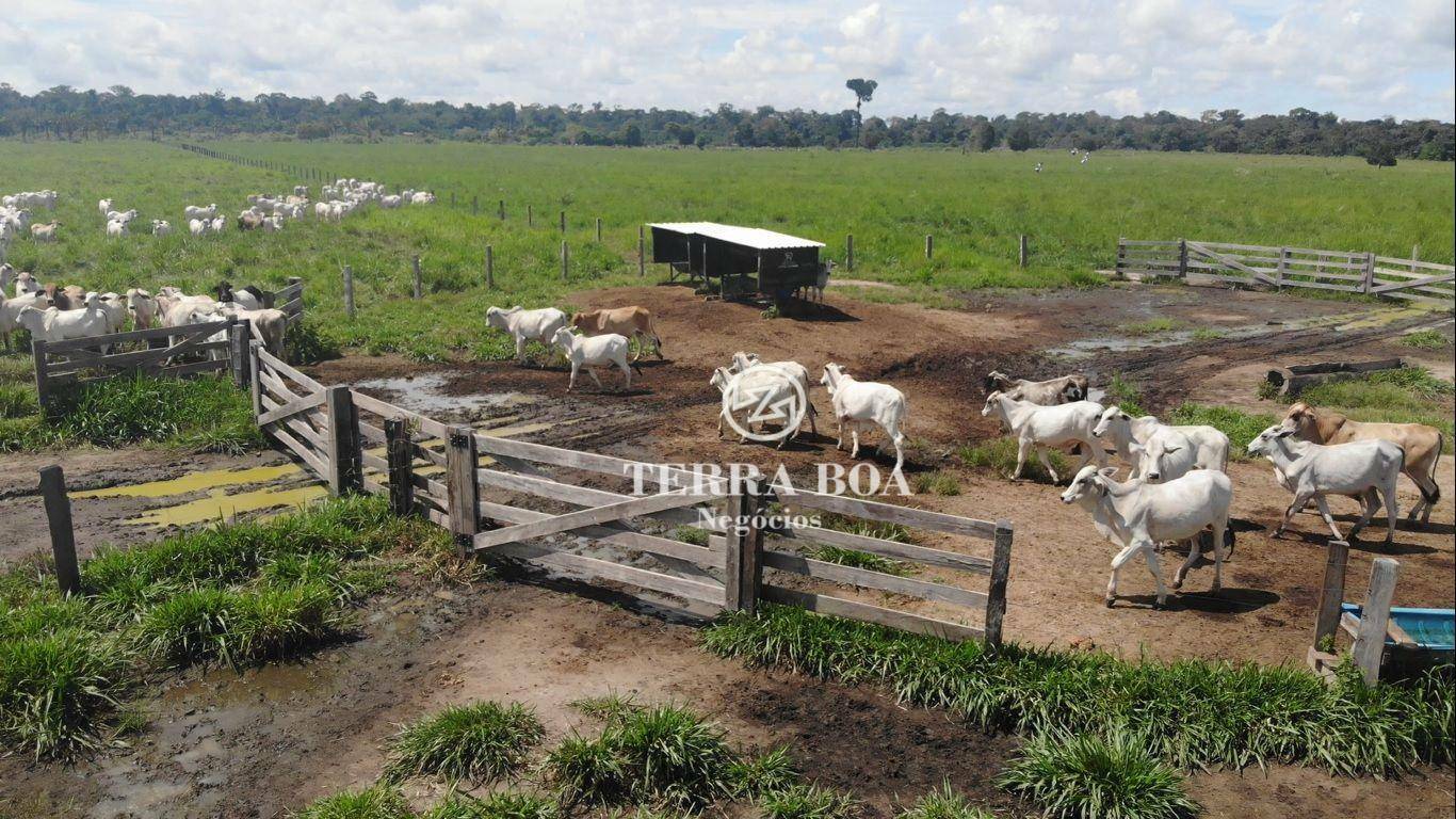 Fazenda à venda, 1500400M2 - Foto 18