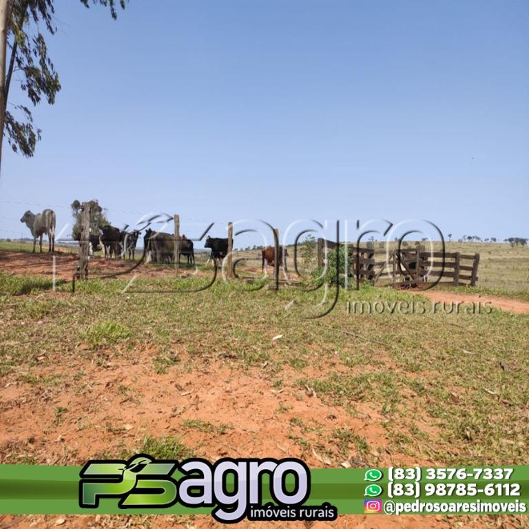 Fazenda à venda, 29669200M2 - Foto 5