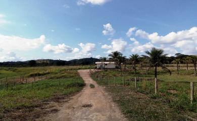 Fazenda à venda com 3 quartos, 100000m² - Foto 25