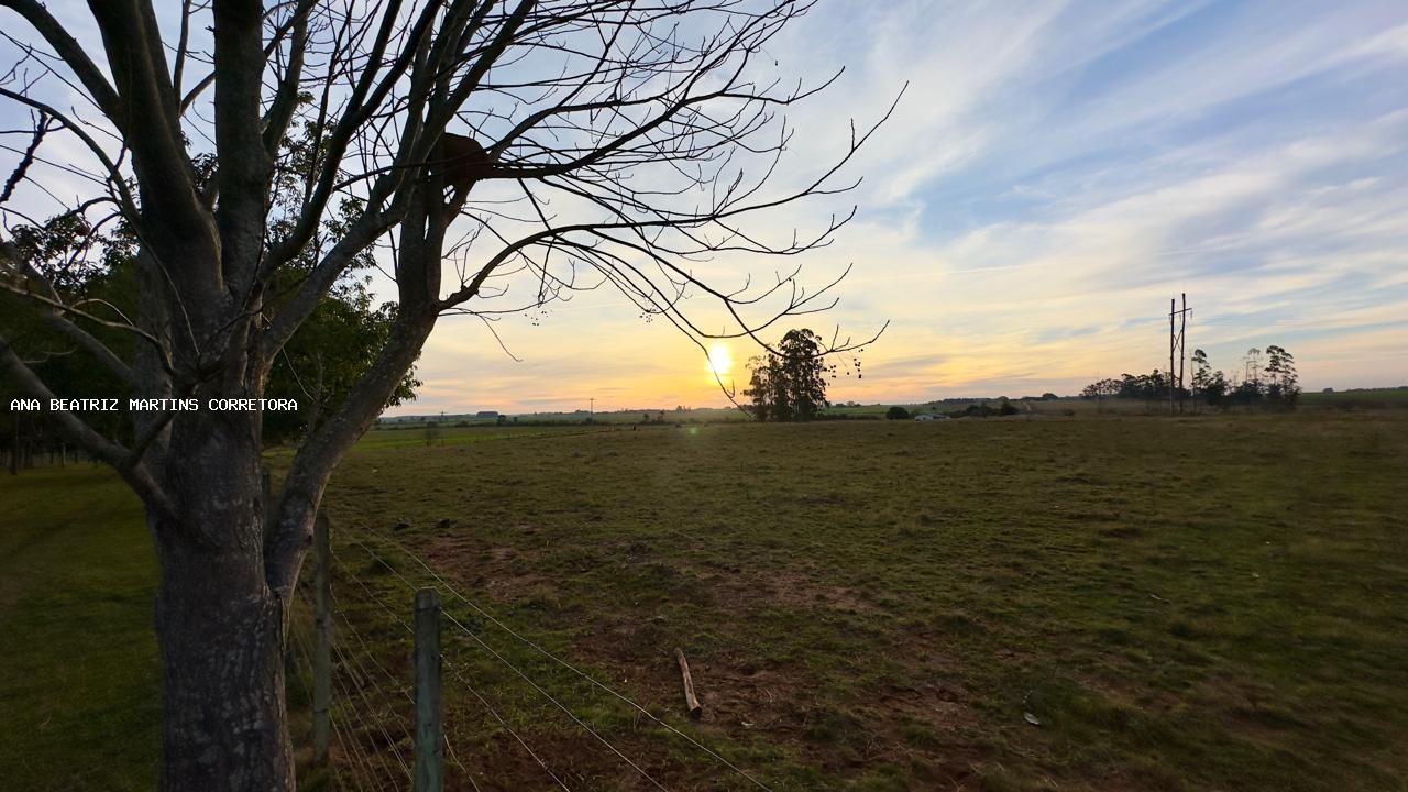 Sítio à venda com 2 quartos, 30000m² - Foto 39