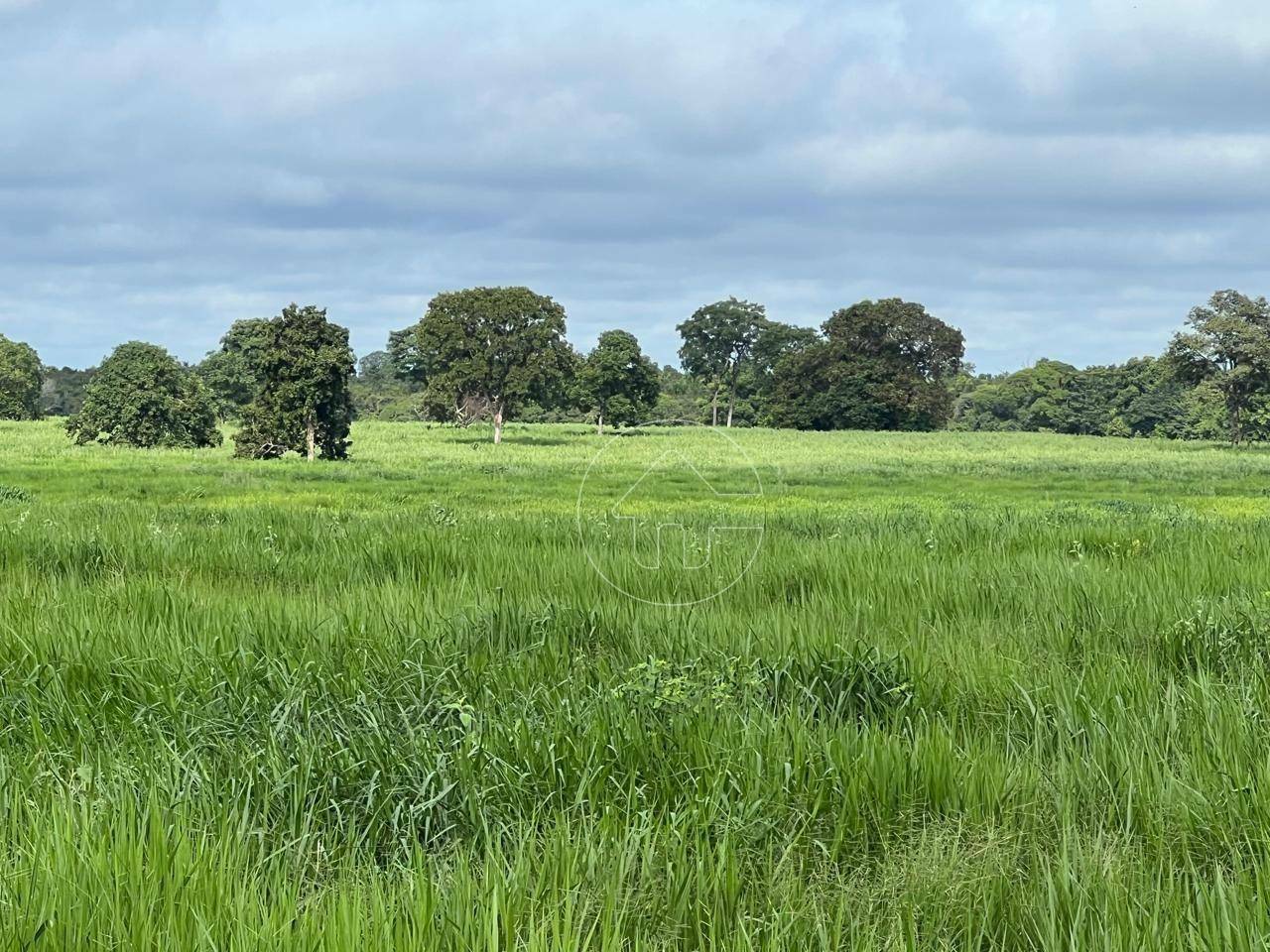 Fazenda à venda, 42910000M2 - Foto 20