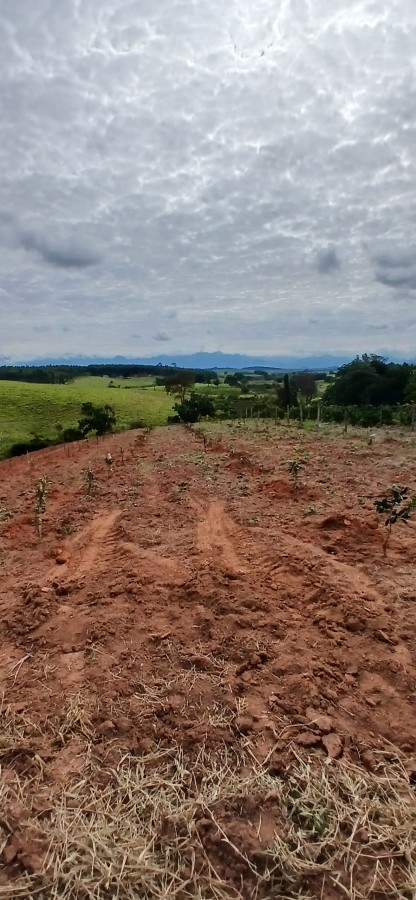 Sítio à venda com 3 quartos, 67000m² - Foto 14