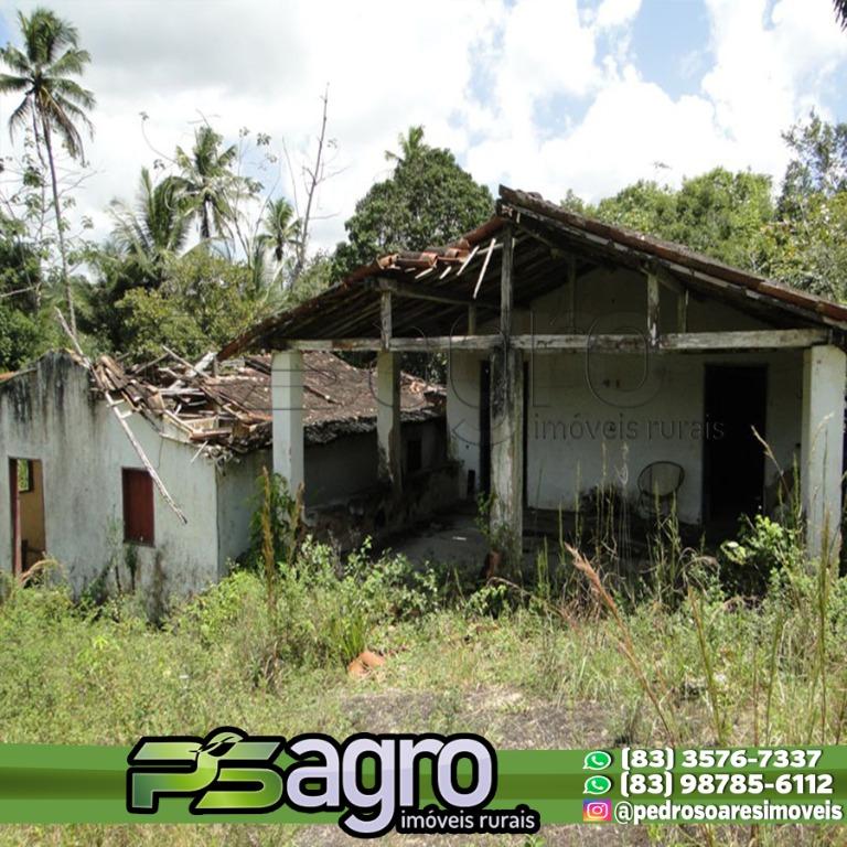 Fazenda-Sítio-Chácara, 80 hectares - Foto 3