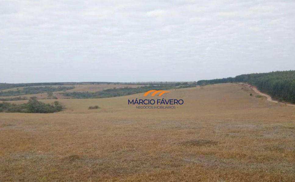 Fazenda, 145 hectares - Foto 4