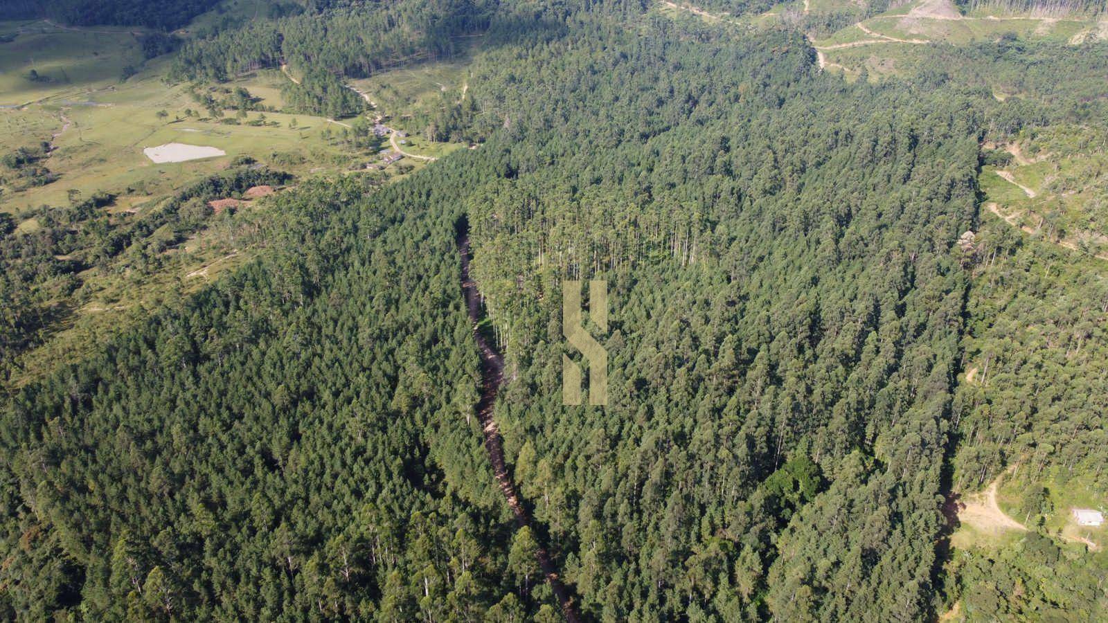 Fazenda à venda, 480000M2 - Foto 1