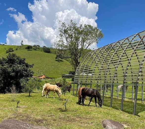 Fazenda à venda, 2300000m² - Foto 4