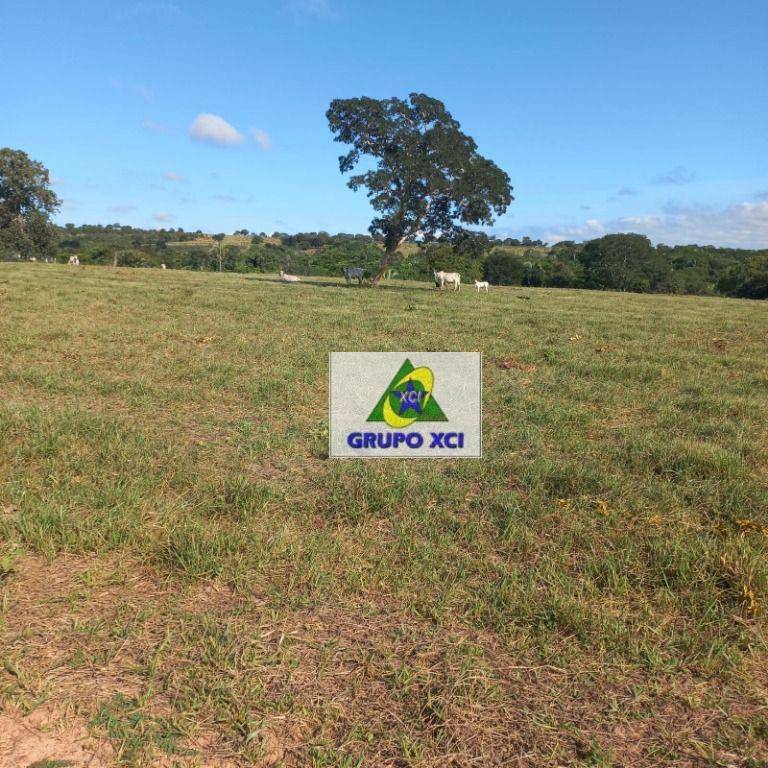 Fazenda à venda, 10000000M2 - Foto 16